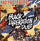 LP Black Liberation Dub Chapter 1 - MAD PROFESSOR